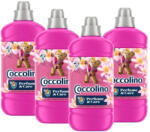 Coccolino Tiare Flower&Red Fruits öblítőkoncentrátum (4x1275 ml)