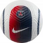 Nike Paris Saint Germain Academy SU22, 5 (FB2976-100) (FB2976-100)