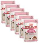 Royal Canin Kitten Instinctive Gravy tasak kiscicáknak lében 36 x 85 g