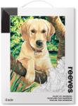 Reeves Pictură pe numere - Labrador 30x40 cm Carte de colorat