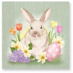  Húsvét Bunny and Flowers szalvéta 20 db-os 33x33 cm (PNN93290)