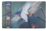 Spree Art Цветни моливи в метална кутия Artist 36 цвята