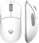 Meetion GW38WHITE Mouse