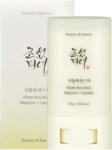 Beauty of Joseon Mugwort + Camelia Matte Sun Stick SPF50+ stick de protecție solară pentru ten 18 g pentru femei | Beauty of Joseon Crema tip stick cu SPF50+, PA++++, Matte Sun Stick, Mugwort+Camelia, 18g, Beauty of J