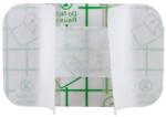 Prima Plasturi Sterili Rezistenti la Apa, 5 cm x 7 cm, Ambalati Individual, Prima, 100 Bucati (VTR-2721-100-5x7)