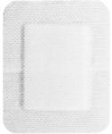 Prima Plasturi Sterili PPSB, 6 cm x 8 cm, Ambalati Individual, Prima, 50 Bucati (VTR-0938-06X08)
