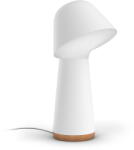 Philips Hue Twilight
