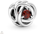 Pandora Örökkévalóság köre charm - 790065C06