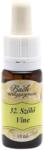 BachVirágeszencia Bach virágterápia, 10 ml - Szőlő, a tekintély virága - 32-es
