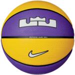 Nike Lebron Playground - Purple/Black