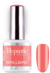 BrillBird - Hypnotic Gel&Lac - HEMA FREE - Lumina - 261 - 4ml - THF