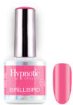 BrillBird - Hypnotic Gel&Lac - HEMA FREE - 256 - 4ml - THF
