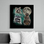 printfashion Mosómedve - Vászonkép - Fekete (17522605)