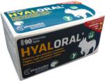 Vetri-Care Hyaloral Small & Medium Breed 90 tablete