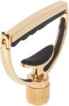 G7th Heritage 1 12-String Guitar Gold