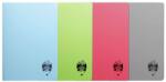 DACO Caiet A5 80 File Coperta Plastic Atinge excelenta (CT582AR)