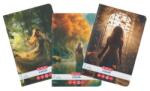 Herlitz Caiet A5, 48 File 70g/MP Dictando, colturi rotunjite Motiv FAIRY TALE (9489100)