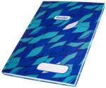 Forster Registru A4 100 file Forster Matematica (4177Matematica)