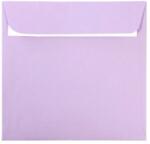 DACO Plic patrat siliconic Glicina PC1616GL DACO (PC1616GL)