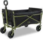 Delphin 101005764