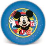 IRIS Licenc Mickey joy műanyag lapostányér (QX_IMPEX_KFT_674687) (QX_IMPEX_KFT_674687)