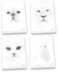 Patria Pigna: Monocromo White vonalas füzet, A4 - többféle (P1111-0539) - jateknet