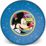  IRIS Licenc Mickey joy műanyag mélytányér (QX_IMPEX_KFT_674683) (QX_IMPEX_KFT_674683)