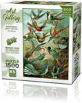 KS Games Пъзел KS Games от 1500 части - Колибри (22030)