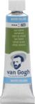 Van Gogh 20016231 Vopsea acuarela Sap Green 10 ml 1 buc (20016231)