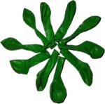  Sötétzöld Lufi 5"-os