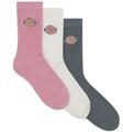 Dickies Kiegészítők VALLEY GROVE LILAS Sokszínű 43 / 46