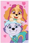 Nickelodeon Animation Studio Mancs őrjárat polár takaró - Skye és Everest (JFK037300)