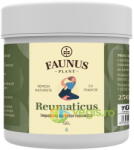 Faunus Plant Gel impotriva durerilor reumatice reumaticus 250 ml