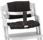 Baby Dan Danchair magasító párna fekete bd2438-0011