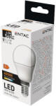 Avide Entac LED Mini gömb E14 6, 5W természetes fehér 4000K (LLMG14-6,5W-NW)