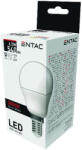 Avide Entac LED Mini gömb E14 6, 5W meleg fehér 3000K (LLMG14-6,5W-WW)