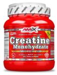 Amix Nutrition Creatine Monohydrate 500g AMIX Nutrition