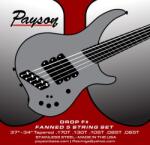Payson Fanned SS 5 Drop F#