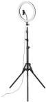 Hama 4659 "SPOTLIGHT STEADY 120 II" LED Körlámpás Okostelefon Állvány