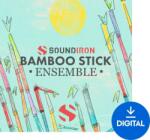 Soundiron Bamboo Stick Ensemble (Produs digital)