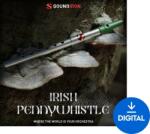 Soundiron Iron Pack 11 - Irish Penny Whistle (Produs digital)
