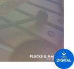 Nightfox Audio Nightfox Audio Plucks and Mallets (Produs digital)