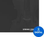 Nightfox Audio Nightfox Audio String Central (Produs digital)