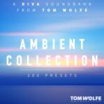 Tom Wolfe Presets Ambient Collection for Diva (Produs digital)