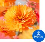 Spitfire Audio Impressionism (Produs digital)