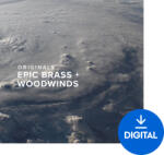 Spitfire Audio Originals Epic Brass and Woodwinds (Produs digital)