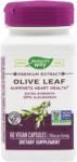 Nature's Way Olive Leaf 60 comprimate