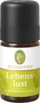Primavera Életkedv" illatkeverék - 5 ml