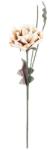  Elegáns krém-barna műrózsa szállal - 95cm