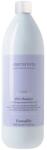 FarmaVita Sampon profesional pentru par blond, cu acid hialuronic si pigment violet, Farmavita Amethyste Cool Blonde, 1000 ml
